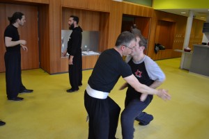 hunggarnancy-artsmartiaux-wushu-kungfu-demonstration-23avril2016-19               